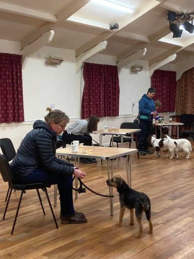 Dog Training A lady sits on a chair with her dog standing next to her on a lead while another dog handler is standing with a pair of dogs in the back